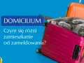 Szary kot leży na różowej walizce, obok pomarańczowych i żółtych. Tekst "DOMICILIUM. Czym się różni zamieszkanie od zameldowania?" sugeruje, że chodzi o adres zamieszkania.