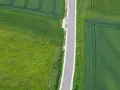 Wąska droga dojazdowa do działki, otoczona polami zielonych zbóż i traw.