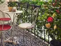 Uroczy balkon w stylu włoskim z metalowymi meblami, kwitnącymi kameliami i bluszczem. Idealne miejsce na poranną kawę.