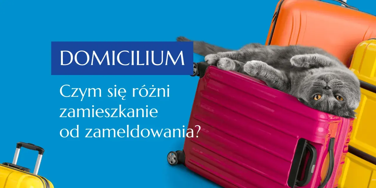 Szary kot leży na różowej walizce, obok pomarańczowych i żółtych. Tekst "DOMICILIUM. Czym się różni zamieszkanie od zameldowania?" sugeruje, że chodzi o adres zamieszkania.