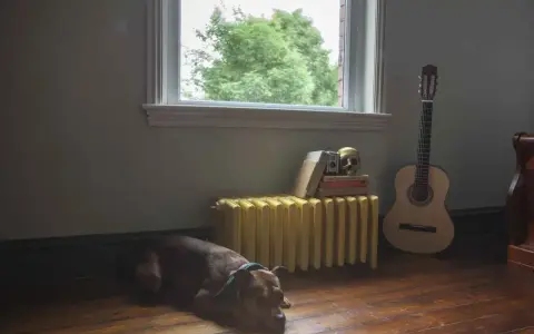 Pies odpoczywa obok żółtego grzejnika, który czeka na wymianę w bloku. Obok stoi gitara i stos książek.