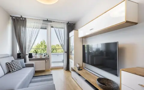 Przytulny, bardzo mały salon w bloku z szarą kanapą, telewizorem i oknem balkonowym.