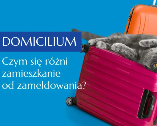 Szary kot leży na różowej walizce, obok pomarańczowych i żółtych. Tekst "DOMICILIUM. Czym się różni zamieszkanie od zameldowania?" sugeruje, że chodzi o adres zamieszkania.
