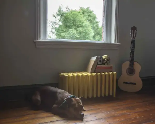 Pies odpoczywa obok żółtego grzejnika, który czeka na wymianę w bloku. Obok stoi gitara i stos książek.