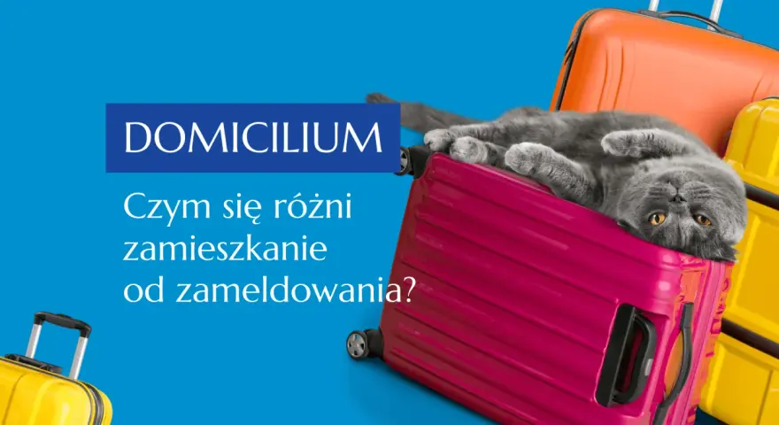 Szary kot leży na różowej walizce, obok pomarańczowych i żółtych. Tekst "DOMICILIUM. Czym się różni zamieszkanie od zameldowania?" sugeruje, że chodzi o adres zamieszkania.
