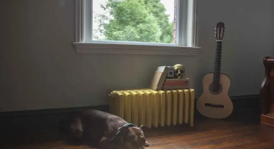 Pies odpoczywa obok żółtego grzejnika, który czeka na wymianę w bloku. Obok stoi gitara i stos książek.