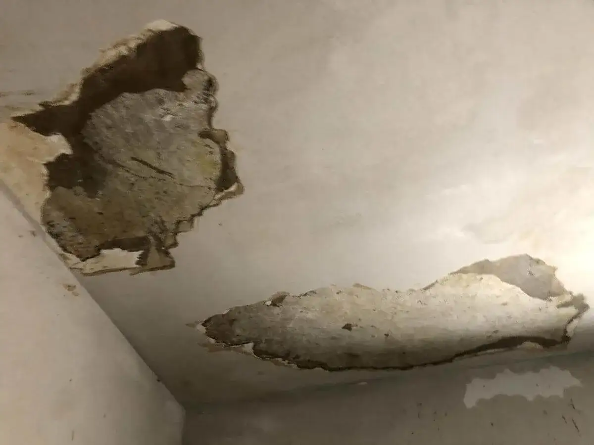 Zalany sufit w bloku, tynk odpada płatami, odsłaniając beton. Widoczne ślady wilgoci i zacieków.