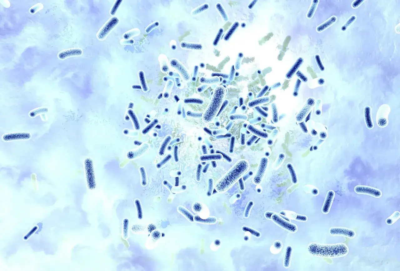 Bakterie Legionella mikroskop