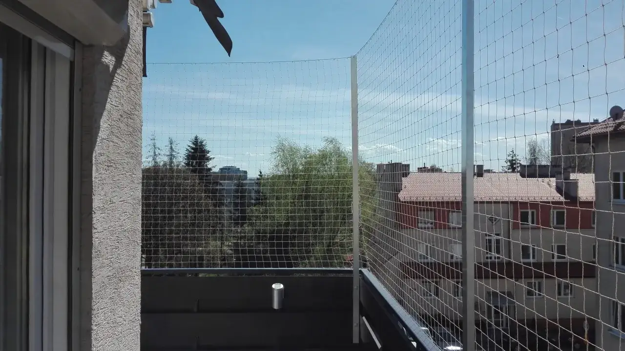 Zabezpieczony balkon z siatką to idealne rozwiązanie, jak zabezpieczyć balkon dla kota, zapewniając mu bezpieczeństwo i swobodę.